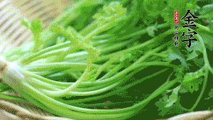 挑選鮮嫩的香菜，洗干凈后，處理成小段。