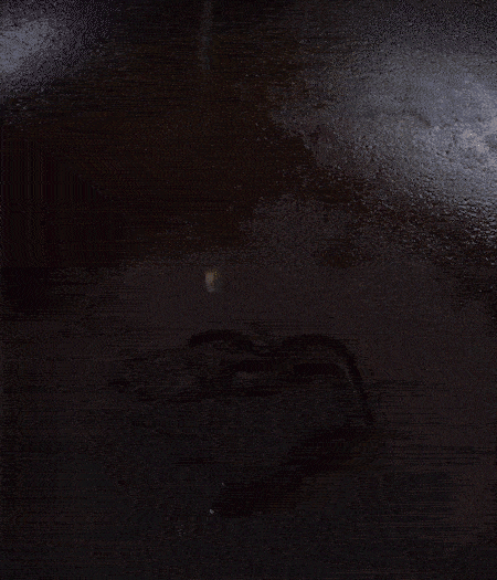 冷鍋熱油，下蒜片爆香，下香腸、玉米筍、蓮藕、西芹爆炒，期間加點水，翻炒1分鐘后加新鮮百合片，翻炒30秒。